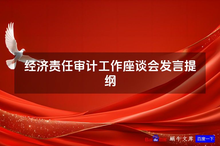 经济责任审计工作座谈会发言提纲