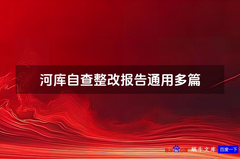 河库自查整改报告通用多篇