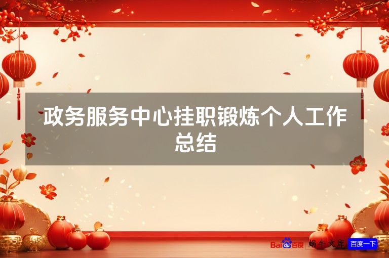 政务服务中心挂职锻炼个人工作总结