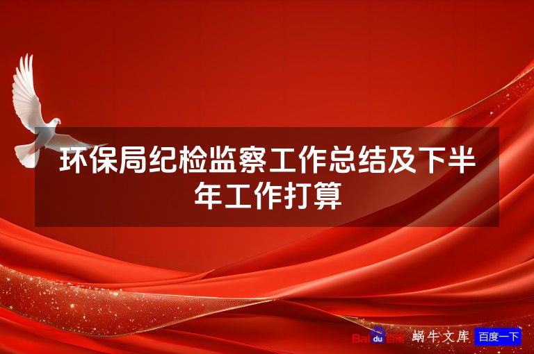 环保局纪检监察工作总结及下半年工作打算