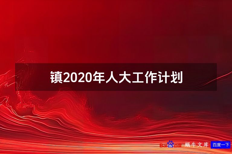 镇2020年人大工作计划