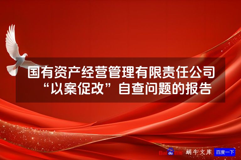 国有资产经营管理有限责任公司“以案促改”自查问题的报告