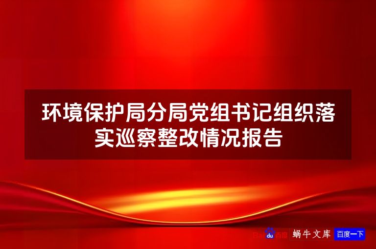 环境保护局分局党组书记组织落实巡察整改情况报告
