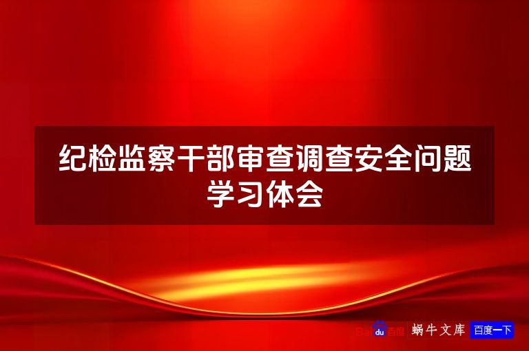 纪检监察干部审查调查安全问题学习体会