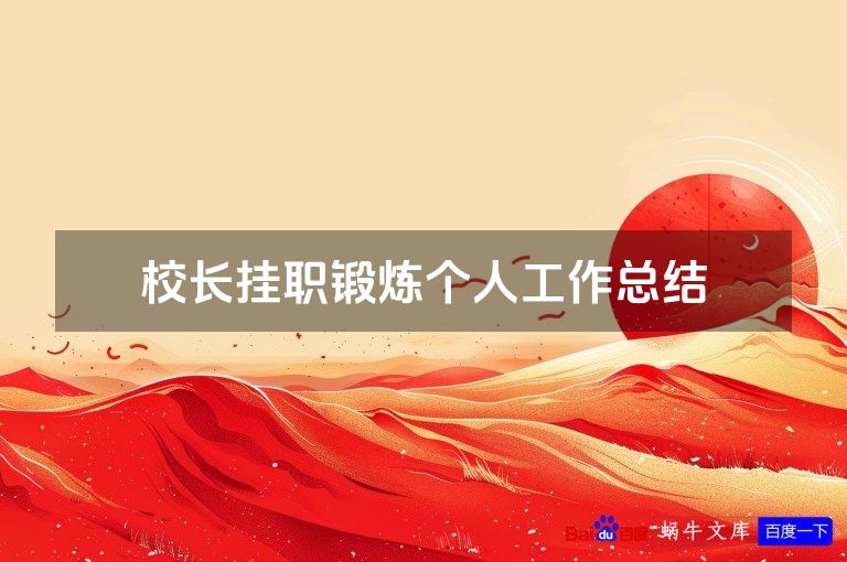 校长挂职锻炼个人工作总结