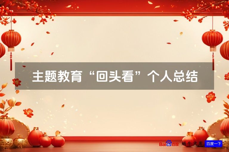 主题教育“回头看”个人总结