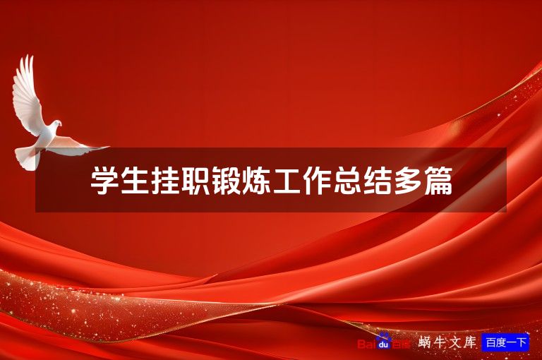 学生挂职锻炼工作总结多篇