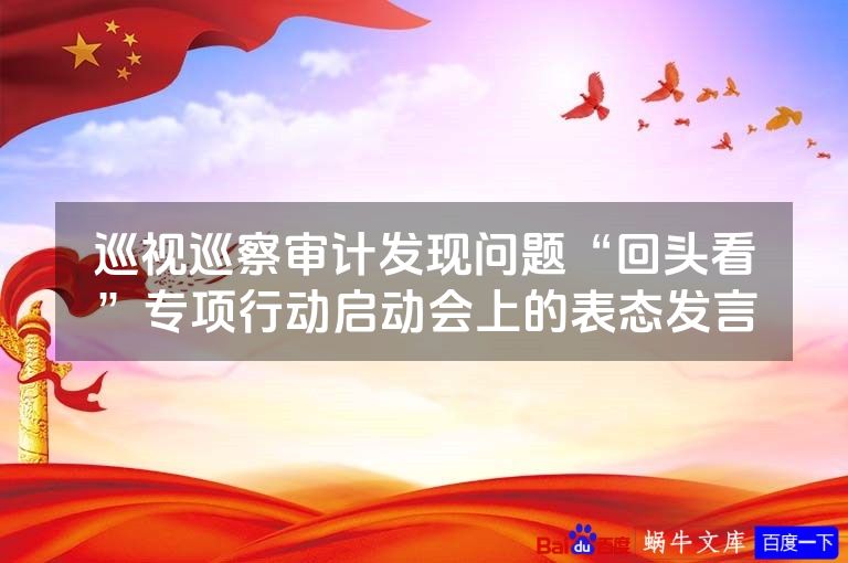 巡视巡察审计发现问题“回头看”专项行动启动会上的表态发言