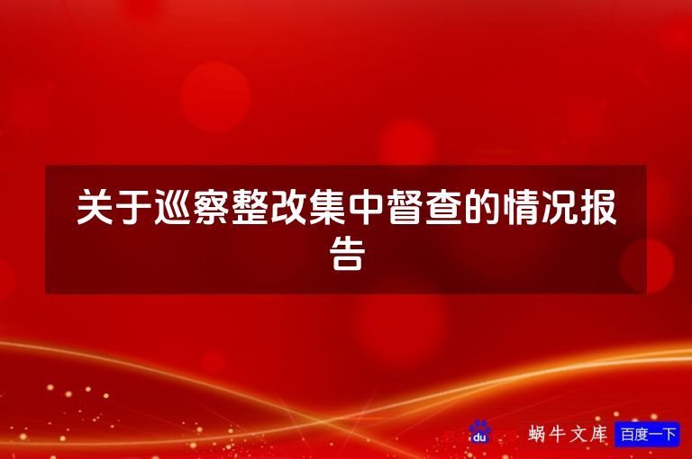 关于巡察整改集中督查的情况报告