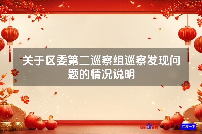 关于区委第二巡察组巡察发现问题的情况说明