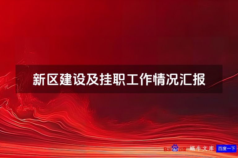 新区建设及挂职工作情况汇报