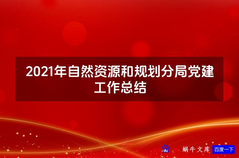 2021年自然资源和规划分局党建工作总结