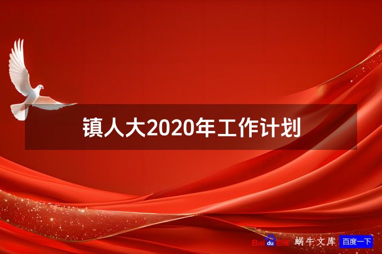 镇人大2020年工作计划