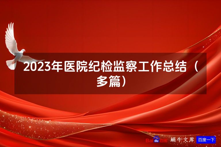 2023年医院纪检监察工作总结(多篇)