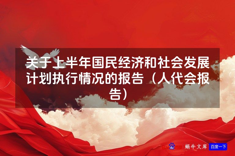 关于上半年国民经济和社会发展计划执行情况的报告(人代会报告)