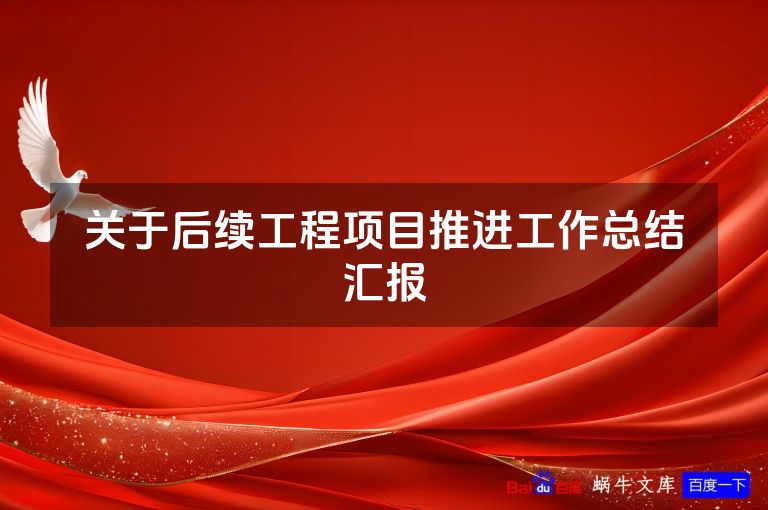 关于后续工程项目推进工作总结汇报