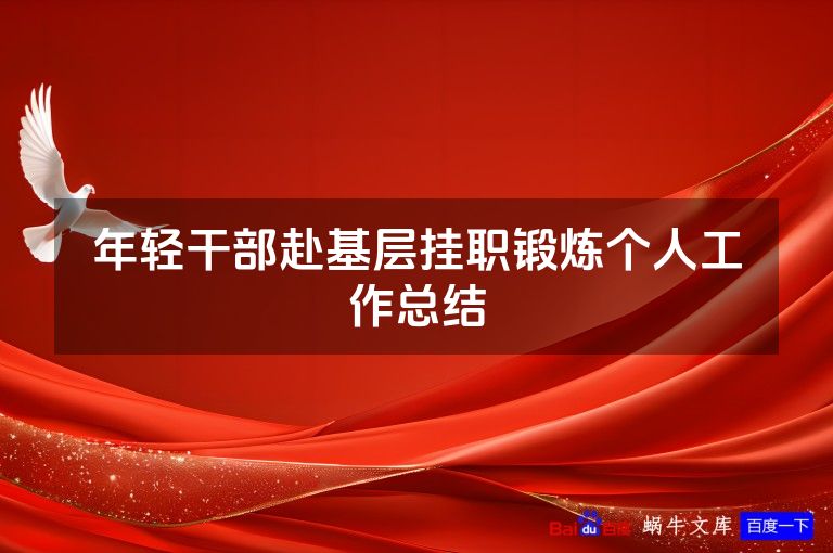 年轻干部赴基层挂职锻炼个人工作总结