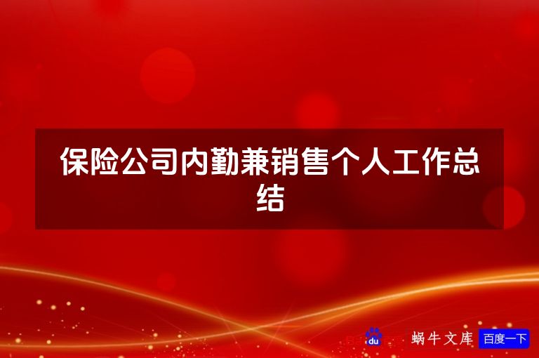 保险公司内勤兼销售个人工作总结
