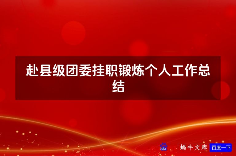 赴县级团委挂职锻炼个人工作总结