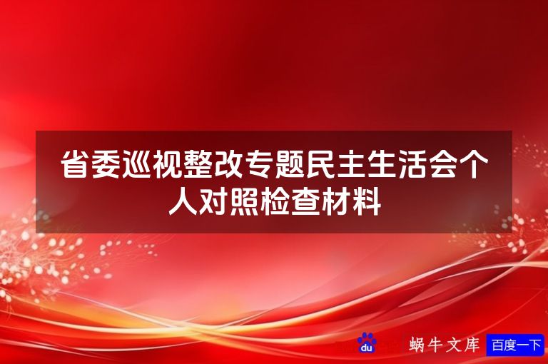 省委巡视整改专题民主生活会个人对照检查材料