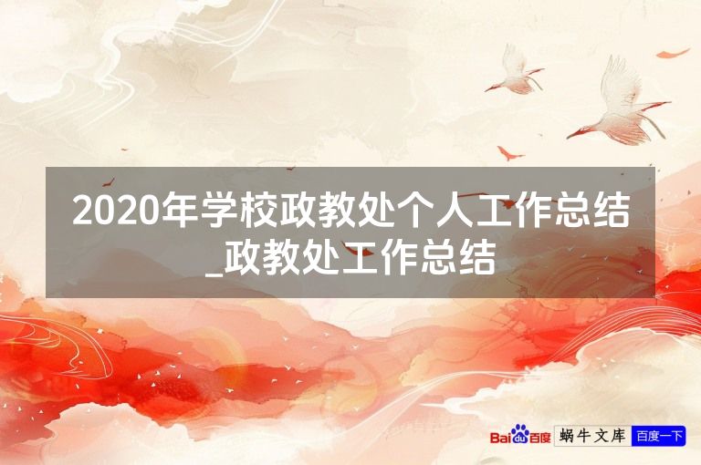 2020年学校政教处个人工作总结_政教处工作总结