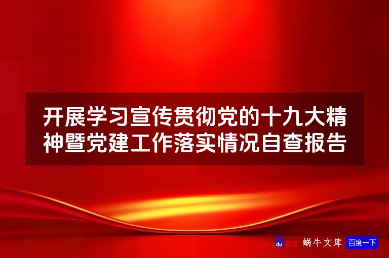 开展学习宣传贯彻党的十九大精神暨党建工作落实情况自查报告