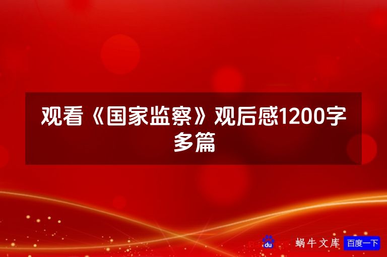 观看《国家监察》观后感1200字多篇
