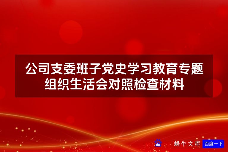 公司支委班子党史学习教育专题组织生活会对照检查材料
