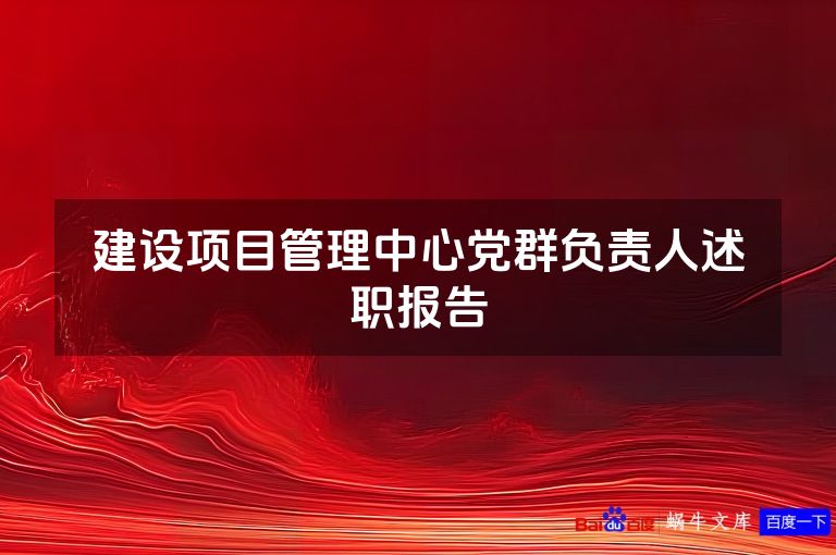 建设项目管理中心党群负责人述职报告