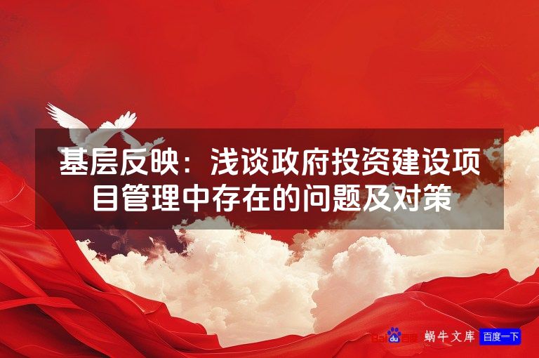 基层反映：浅谈政府投资建设项目管理中存在的问题及对策