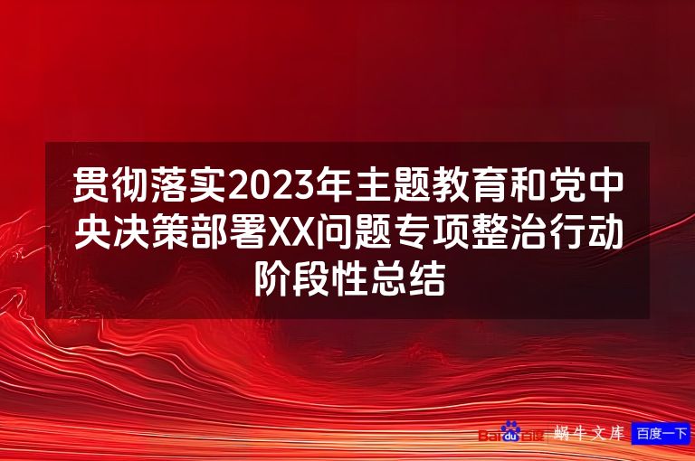 贯彻落实2023年主题教育和党中央决策部署XX问题专项整治行动阶段性总结