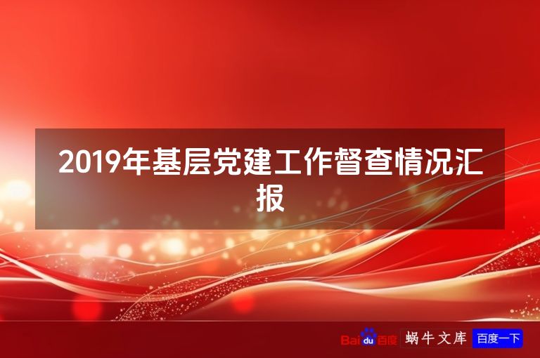 2019年基层党建工作督查情况汇报