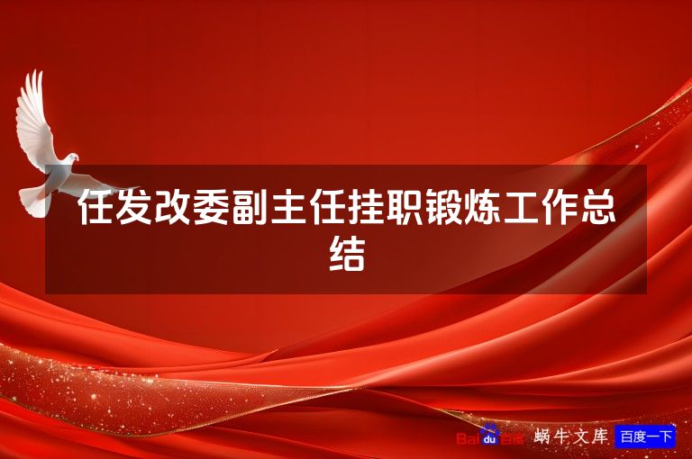 任发改委副主任挂职锻炼工作总结