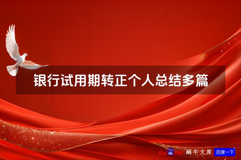 银行试用期转正个人总结多篇