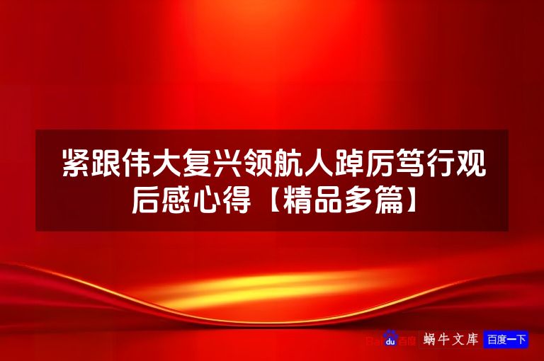 紧跟伟大复兴领航人踔厉笃行观后感心得【精品多篇】