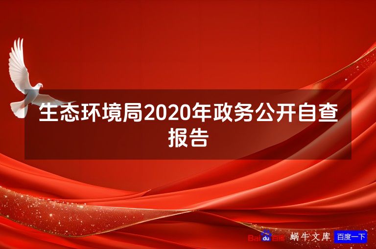 生态环境局2020年政务公开自查报告