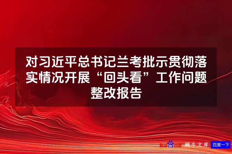 对习近平总书记兰考批示贯彻落实情况开展“回头看”工作问题整改报告
