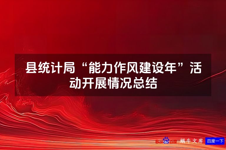 县统计局“能力作风建设年”活动开展情况总结