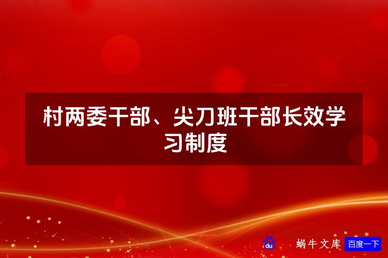 村两委干部、尖刀班干部长效学习制度