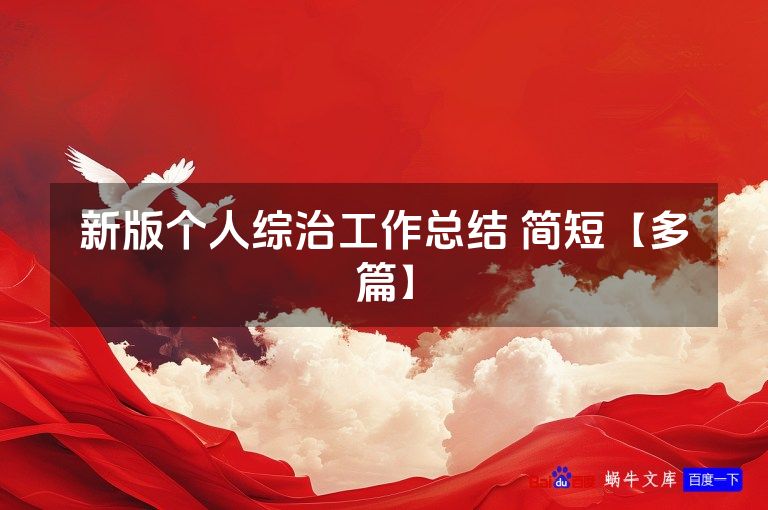 新版个人综治工作总结 简短【多篇】
