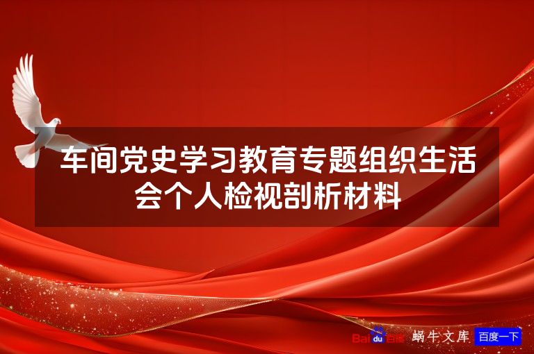 车间党史学习教育专题组织生活会个人检视剖析材料