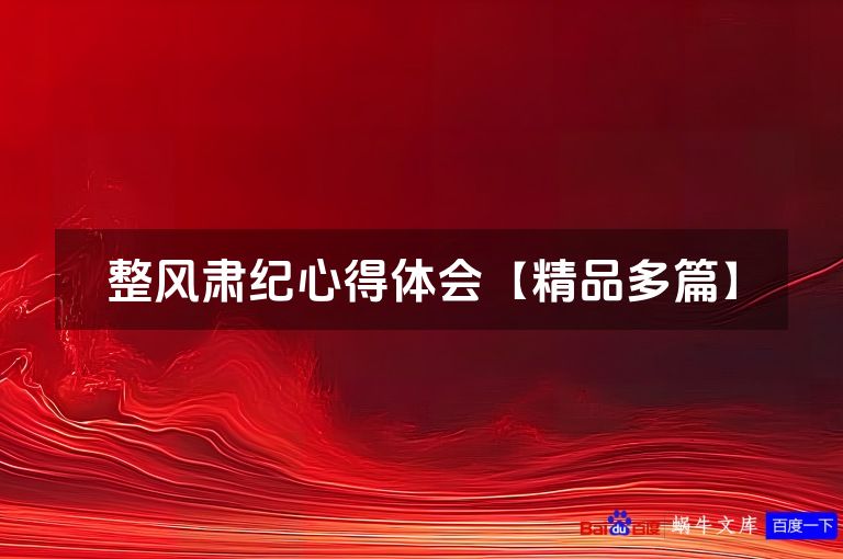 整风肃纪心得体会【精品多篇】