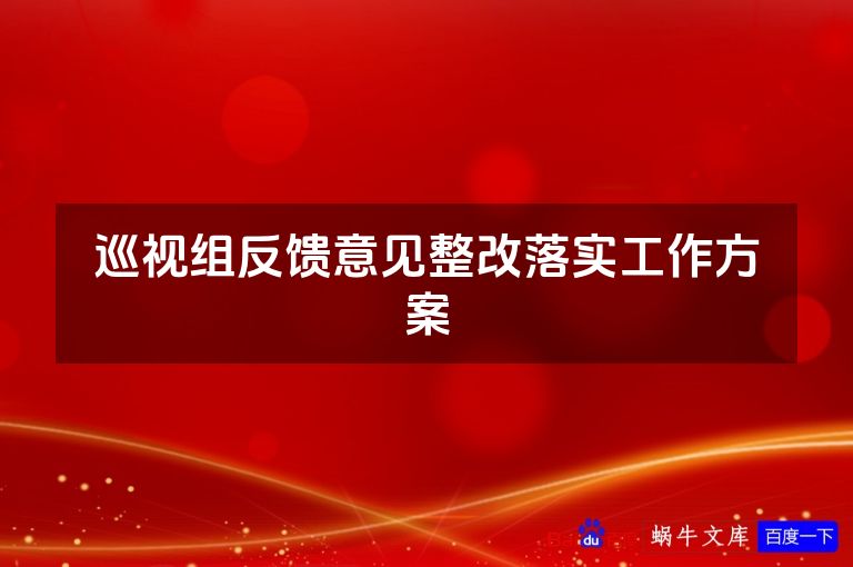 巡视组反馈意见整改落实工作方案
