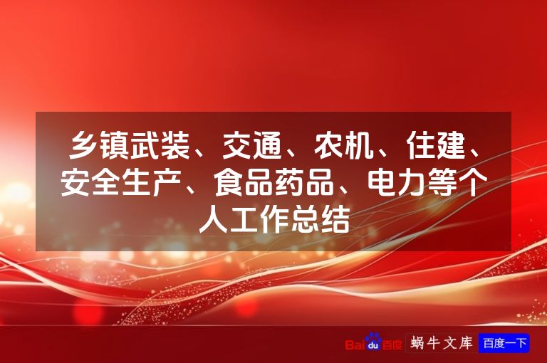 乡镇武装、交通、农机、住建、安全生产、食品药品、电力等个人工作总结