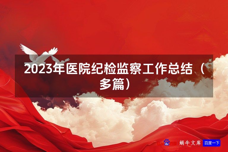2023年医院纪检监察工作总结（多篇）