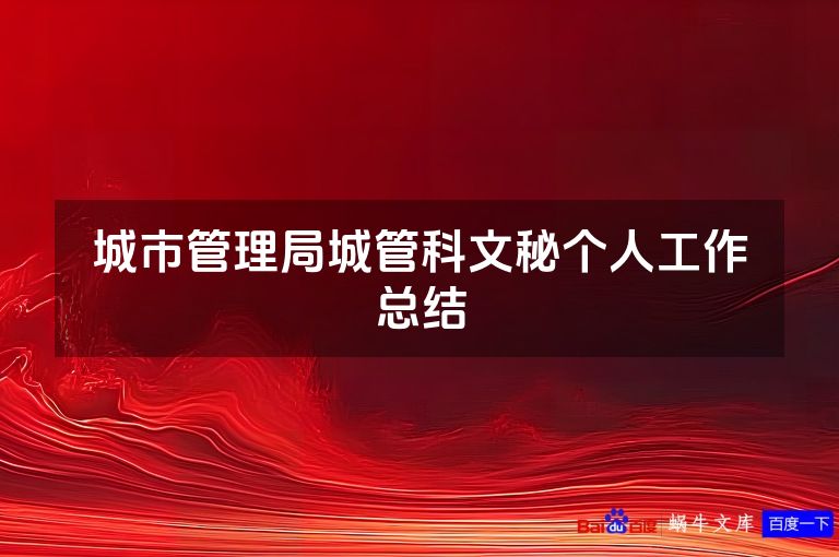 城市管理局城管科文秘个人工作总结