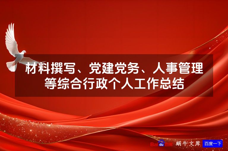 材料撰写、党建党务、人事管理等综合行政个人工作总结