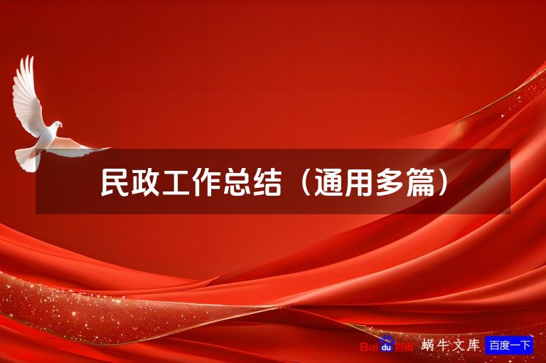 民政工作总结（通用多篇）