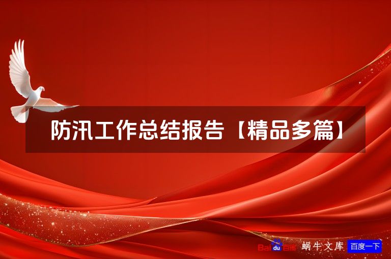防汛工作总结报告【精品多篇】