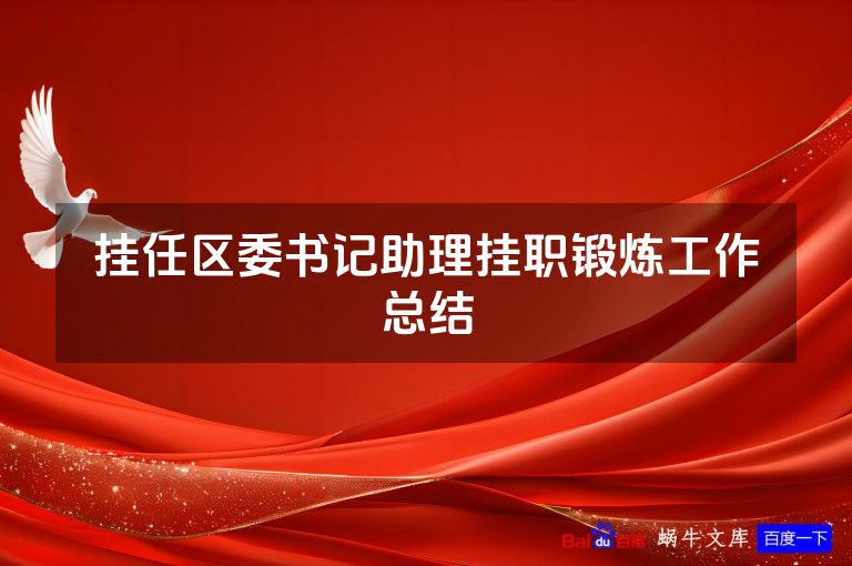 挂任区委书记助理挂职锻炼工作总结